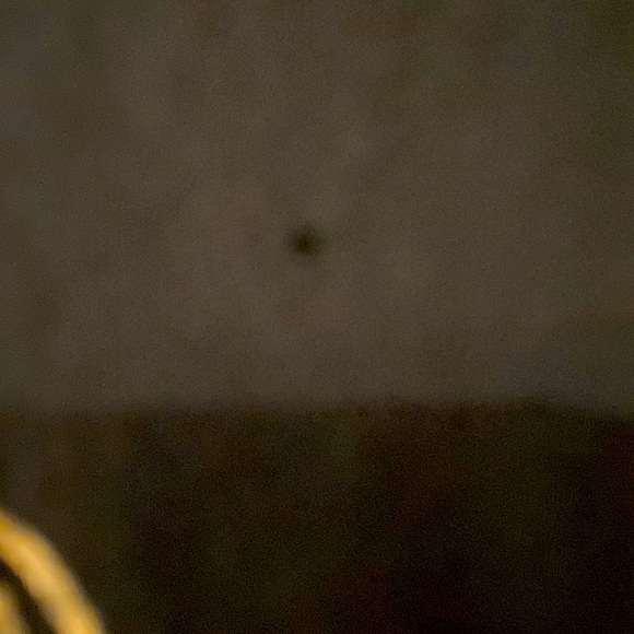 Panic at the Disco If You Love Me, Let Me Go  Band Tee Shirt Small / Medium - Picture 3 of 5